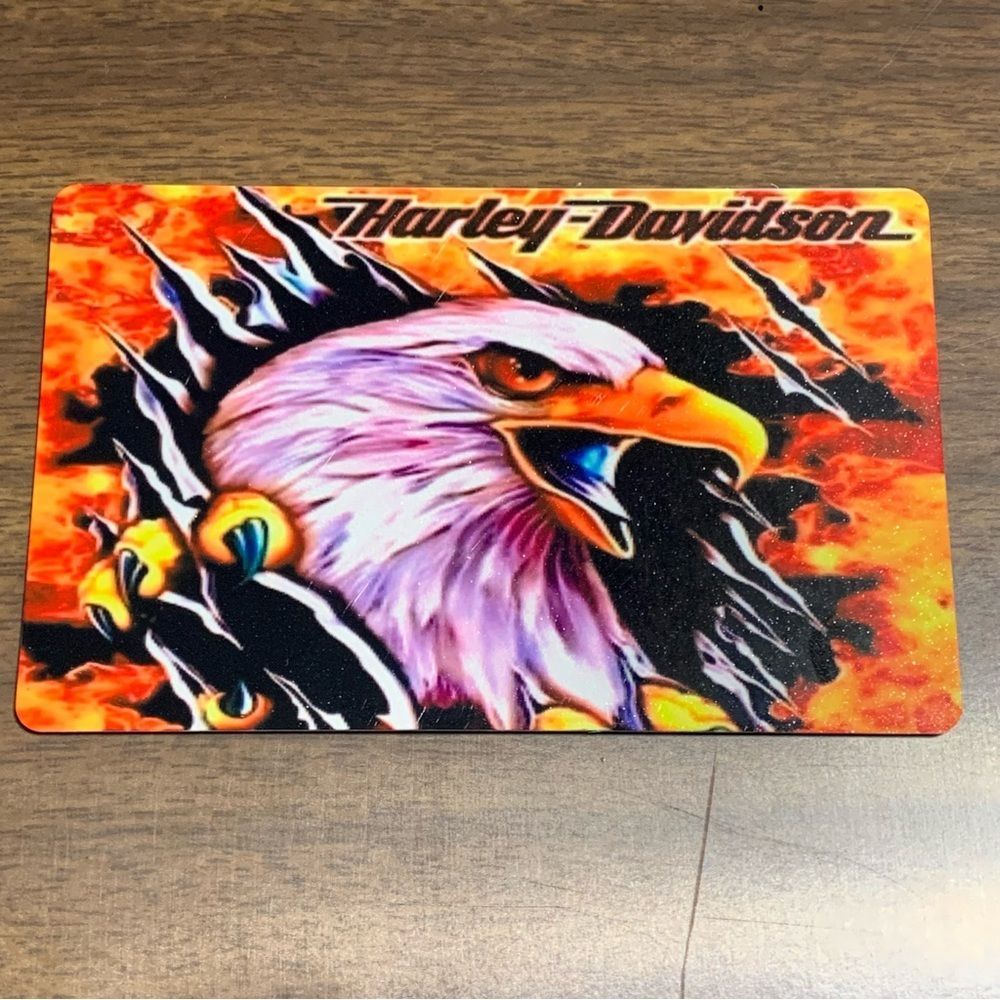 Eagle Magnet